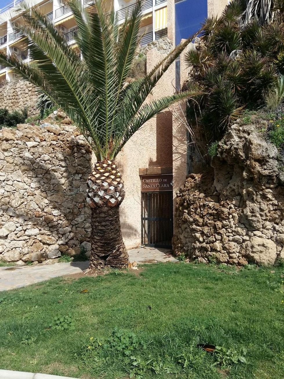 Castillo De Santa Clara 05 توريمولينوس المظهر الخارجي الصورة